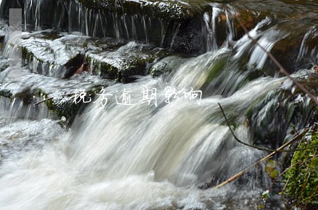 税务逾期影响