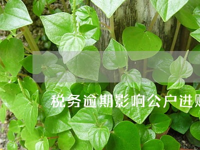 税务逾期影响公户进账吗 税务逾期影响公户进账吗
