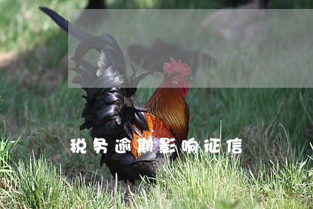 税务逾期影响征信