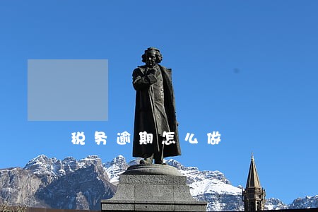 税务逾期怎么做