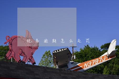 税务逾期怎么处罚