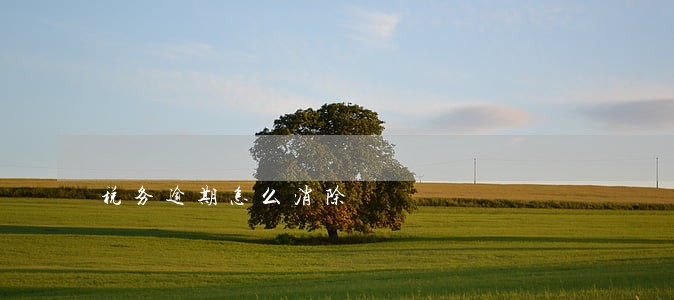 税务逾期怎么消除 税务逾期怎么消除