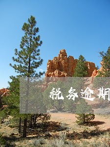 税务逾期怎么补税
