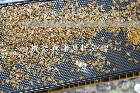 税务逾期怎样处理 税务逾期怎样处理