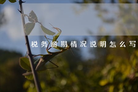 税务逾期情况说明怎么写 税务逾期情况说明怎么写