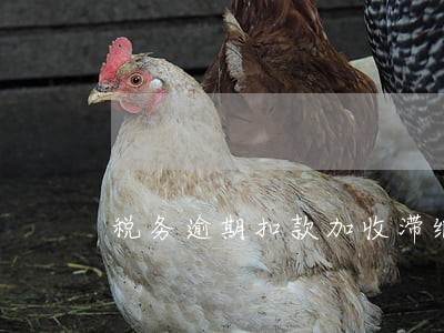 税务逾期扣款加收滞纳金 税务逾期扣款加收滞纳金