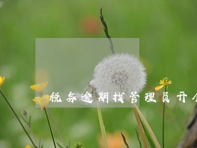 税务逾期找管理员开个什么 税务逾期找管理员开个什么