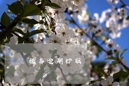 税务逾期抄报 税务逾期抄报