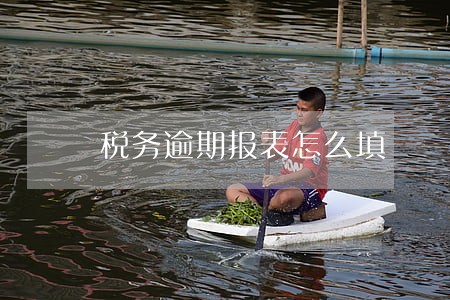 税务逾期报表怎么填 税务逾期报表怎么填