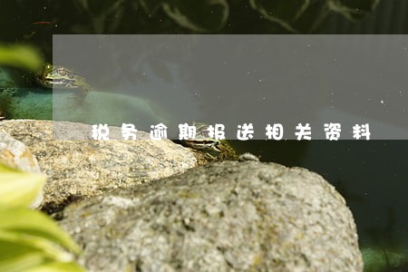 税务逾期报送相关资料 税务逾期报送相关资料