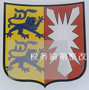 税务逾期整改书 税务逾期整改书