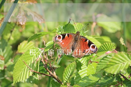 税务逾期是什么 税务逾期是什么
