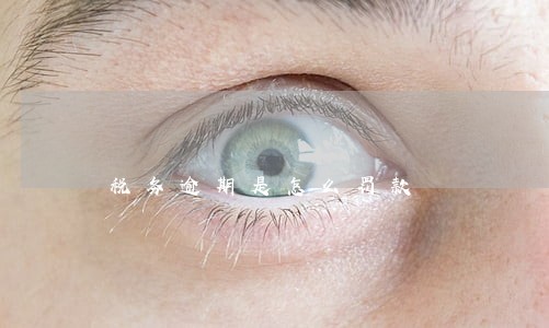 税务逾期是怎么罚款 税务逾期是怎么罚款