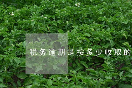 税务逾期是按多少收取的 税务逾期是按多少收取的