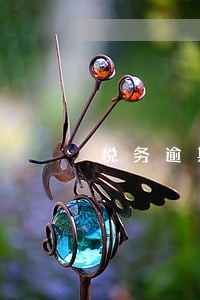 税务逾期未交款怎么办 税务逾期未交款怎么办