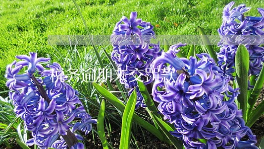 税务逾期未交罚款 税务逾期未交罚款