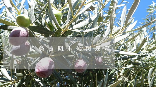 税务逾期未处罚规定 税务逾期未处罚规定