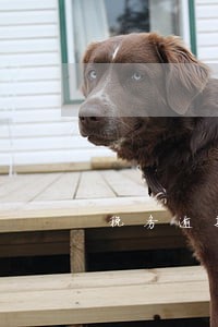税务逾期未报会怎样 税务逾期未报会怎样