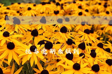 税务逾期未报到 税务逾期未报到