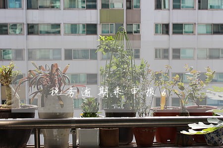 税务逾期未申报6 税务逾期未申报6