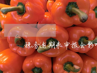 税务逾期未申报会影响什么 税务逾期未申报会影响什么