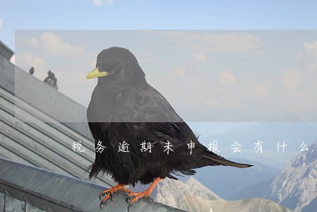 税务逾期未申报会有什么后果