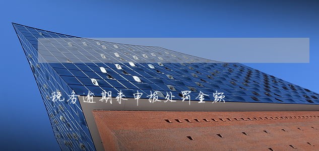 税务逾期未申报处罚金额 税务逾期未申报处罚金额