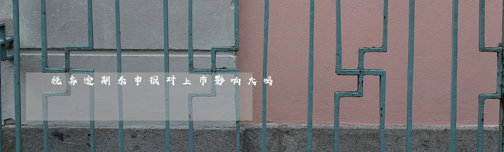 税务逾期未申报对上市影响大吗 税务逾期未申报对上市影响大吗