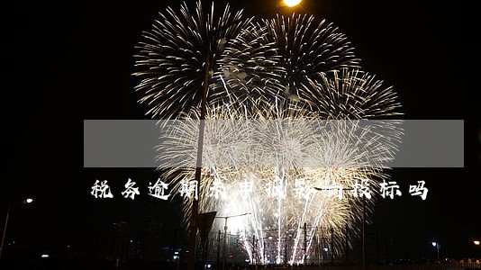 税务逾期未申报影响投标吗 税务逾期未申报影响投标吗