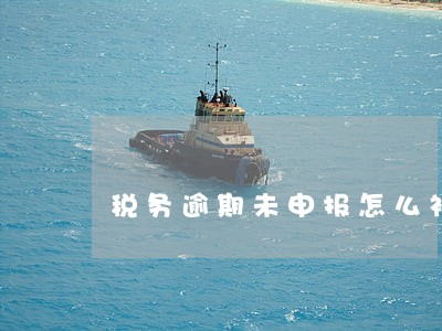 税务逾期未申报怎么补报 税务逾期未申报怎么补报