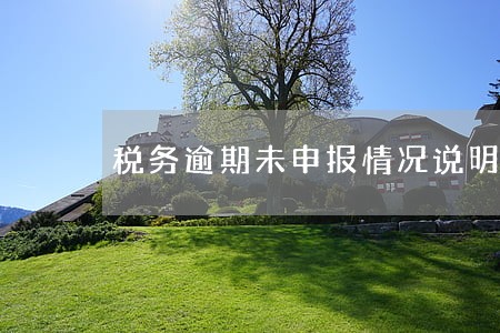 税务逾期未申报情况说明
