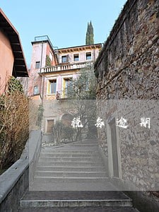 税务逾期未申报数据错误 税务逾期未申报数据错误