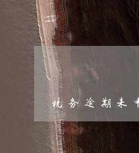 税务逾期未申报时必须罚款 税务逾期未申报时必须罚款