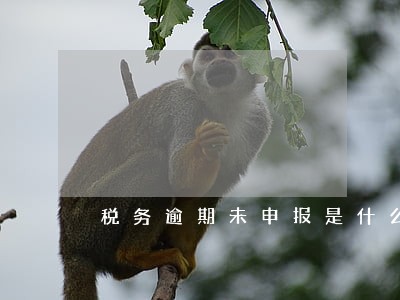 税务逾期未申报是什么 税务逾期未申报是什么