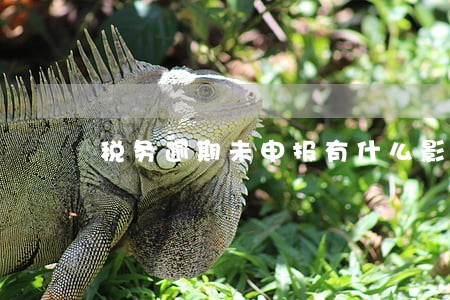 税务逾期未申报有什么影响 税务逾期未申报有什么影响