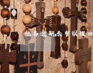 税务逾期未申报理由 税务逾期未申报理由