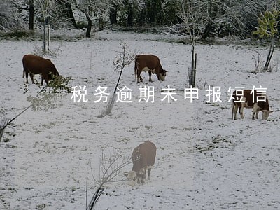 税务逾期未申报短信 税务逾期未申报短信