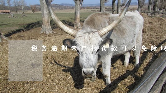税务逾期未申报罚款可以免除吗