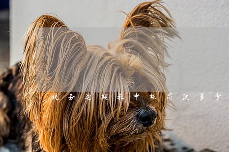 税务逾期未申报罚款多少钱 税务逾期未申报罚款多少钱