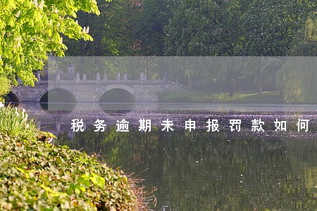 税务逾期未申报罚款如何计算 税务逾期未申报罚款如何计算