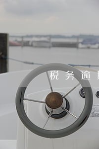 税务逾期未申报罚款怎么写分录 税务逾期未申报罚款怎么写分录