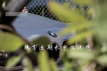 税务逾期未申报说明 税务逾期未申报说明
