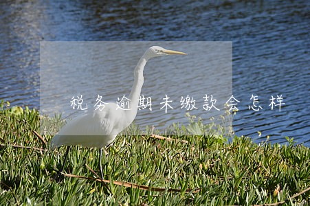 税务逾期未缴款会怎样 税务逾期未缴款会怎样