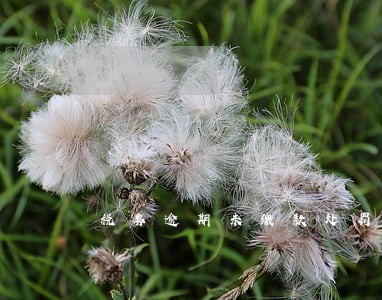 税务逾期未缴款处罚