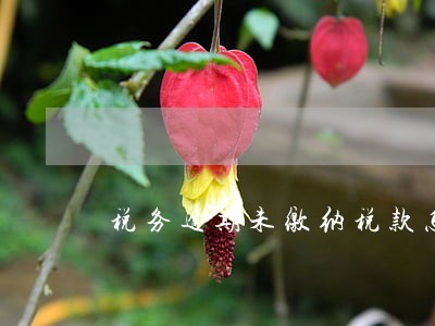 税务逾期未缴纳税款怎么办 税务逾期未缴纳税款怎么办