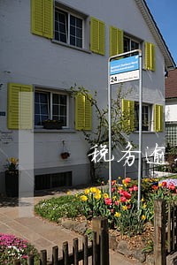税务逾期查询 税务逾期查询