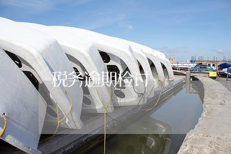 税务逾期检讨 税务逾期检讨