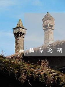 税务逾期注销责任追究