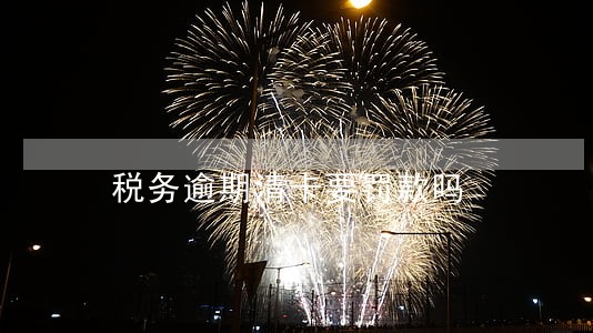 税务逾期清卡要罚款吗 税务逾期清卡要罚款吗