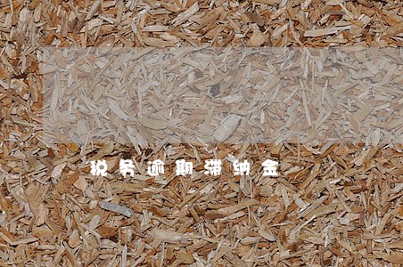 税务逾期滞纳金 税务逾期滞纳金